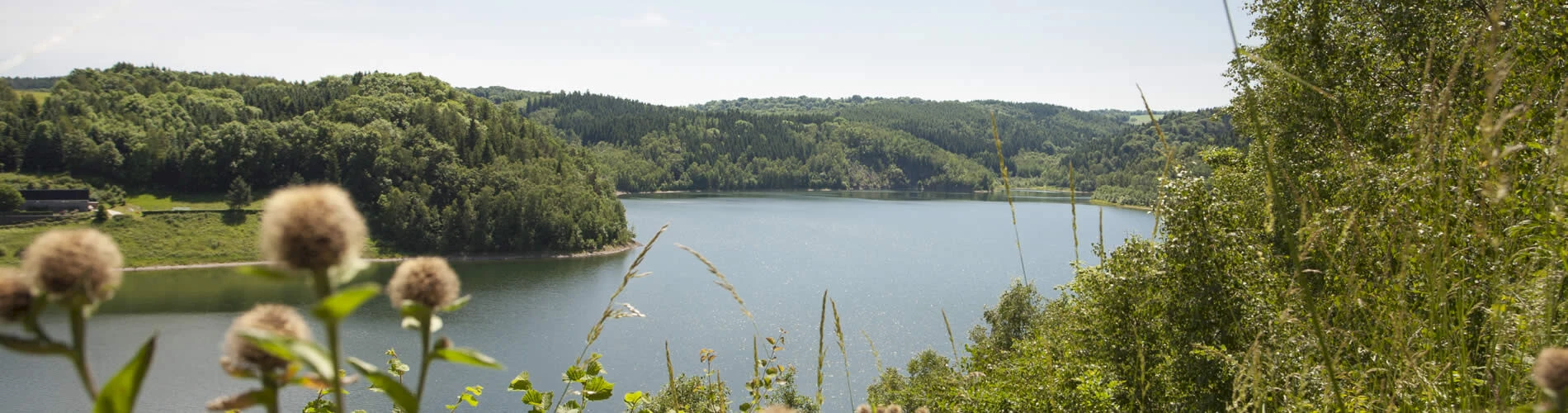 Gotteuba-Talsperre, ®Fouad Vollmer Werbeagentur